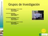 Grupos de Investigacin EPHP